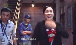 最新爆料那英过往事件,揭秘娱乐圈风云变幻